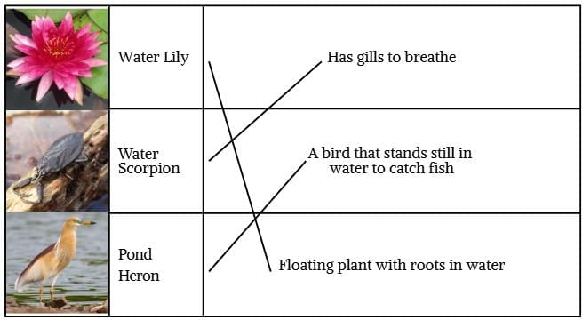 Unit Test (Solutions): Water—The Essence of Life | Our Wondrous World  Class 5 - New NCERT