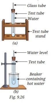 The Amazing World of Solutes, Solvents, and Solutions NCERT Solutions | Science Curiosity Class 8 -  New NCERT