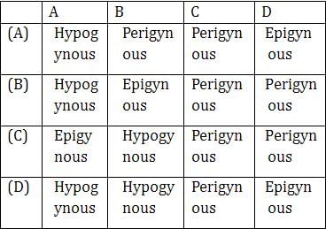 On the basis of relative position of different floral parts on the thalamus,  a flower can be hypogynous, Perigynous or epigynous. With respect to the given  figures (A, B, C and D),