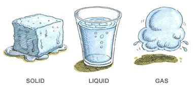 Important Questions: The Wonderful World of Science | Science for Class 6