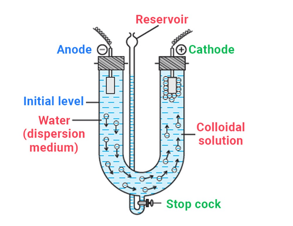 Preparation, Purification & Properties of Colloidal Solutions | Physical Chemistry for NEET