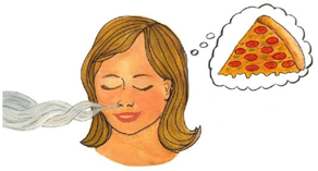 NCERT Solutions for Class 5 EVS Chapter 1 - Super Senses