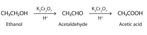 Class 10 Science Chapter 4 Previous Year Questions - Carbon and its compounds