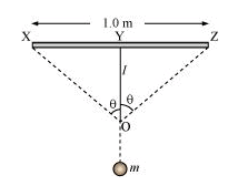 NCERT Solutions Class 11 Physics Chapter 8 - Mechanical Properties of Solids