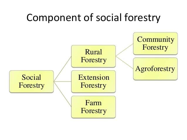 NCERT सारांश: प्राकृतिक वनस्पति - 1 | यूपीएससी सीएसई के लिए भूगोल (Geography) - UPSC
