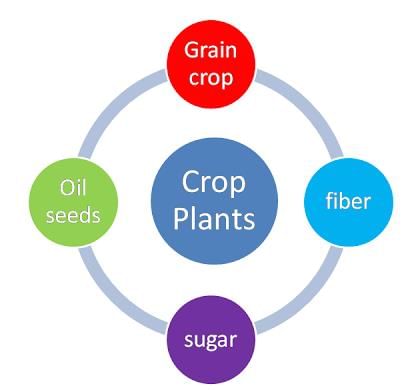 NCERT Summary: Land use & Agriculture - 1 | Geography for UPSC CSE