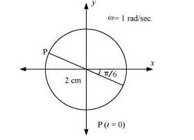 NCERT Solutions Class 11 Physics Chapter 13 - Oscillations
