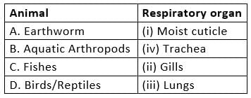 NCERT Exemplars: Breathing & Exchange of Gases | Biology Class 11 - NEET