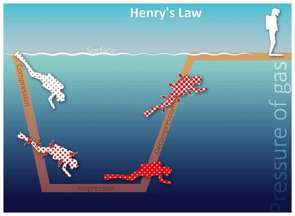 Henry`s Law: Effect of Pressure on Solubility of Gases in Liquids | Physical Chemistry for NEET