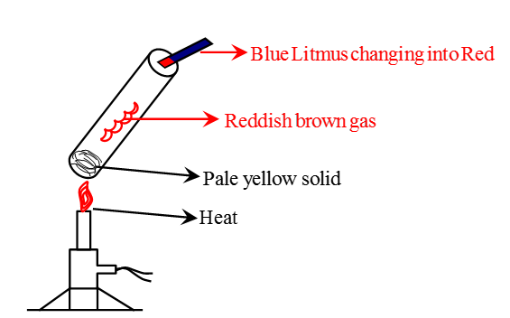 Observation after heating Lead Nitrate in a test tube
