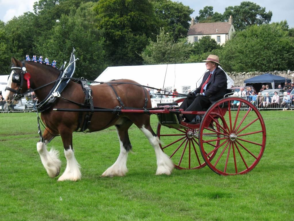 Horse Pulling a Cart