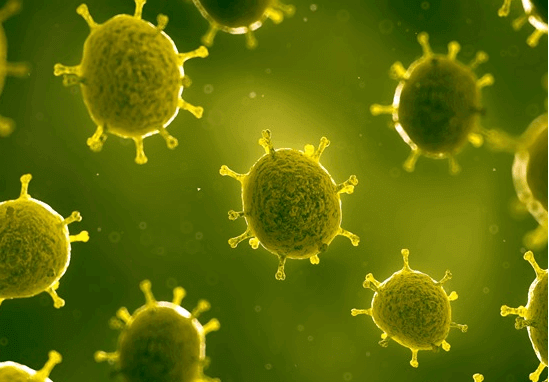 Generic virus illustrations