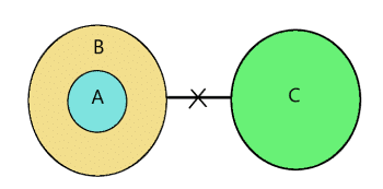 Syllogism | Logical Reasoning for CLAT