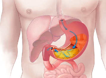 Digestive Juices get Mixed with Food