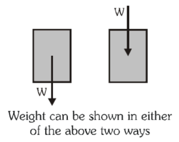 Laws of Motion Detailed Explanation | Physics Class 11 - NEET