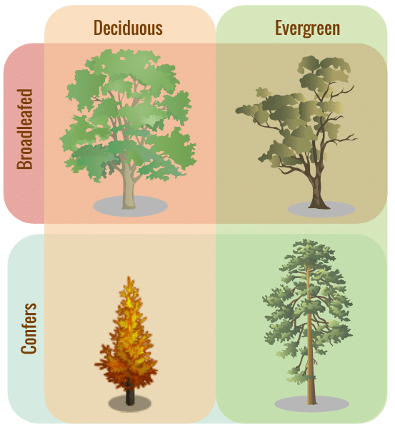 Shankar IAS Summary: Terrestrial Ecosystem | Famous Books for UPSC Exam (Summary & Tests)