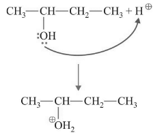 Covalent Bond Fission: Homolytic & Heterolytic | Chemistry for JEE Main & Advanced