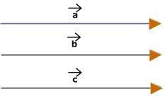 Vector & Scalar Quantities | Physics Class 11 - NEET