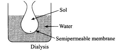 NCERT Exemplar: Surface Chemistry (Old NCERT) | Chemistry for JEE Main & Advanced