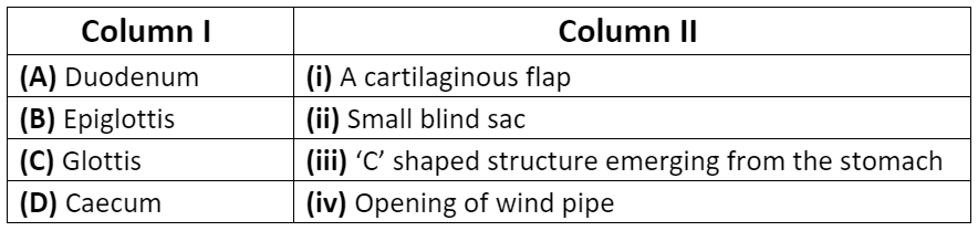 NCERT Exemplar: Digestion and Absorption (Old NCERT) | Biology for Grade 11