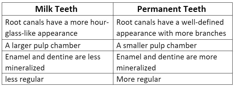 Teeth: Alimentary Canal | Additional Study Material for NEET
