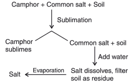 Class 9 Science: Sample Question Paper- 1 (With Solutions)