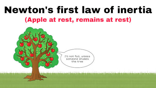 NCERT Solutions for Class 9 Science Chapter 8 - Force and Laws of Motion