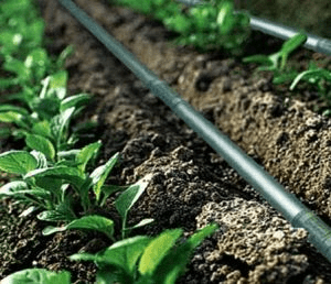 NCERT Solutions for Class 8 Science - Water - A Precious Resource