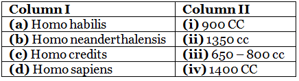 NEET Previous Year Questions (2016-2025): Evolution | Biology Class 12