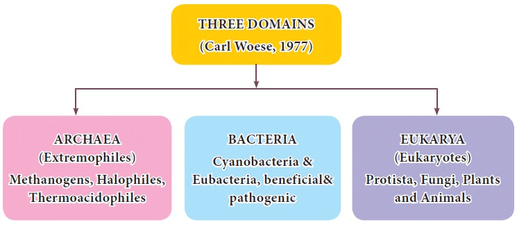 Three Domains of Life