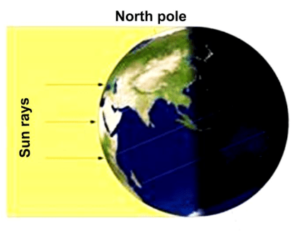 Class 6 Geography Chapter 2 Question Answers - Globe Latitudes and Longitudes