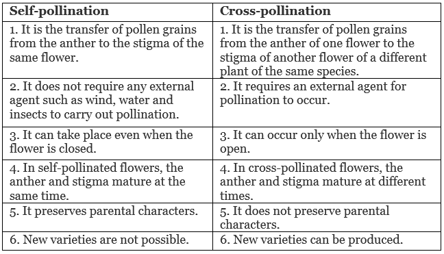 Class 10 Science - Previous Year Paper with Solutions- 2020