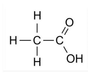 NCERT Solutions for Class 10 Science Chapter 4 - Carbon and its Compounds
