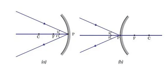 Image Formation: Concave & Convex Mirror | Science Class 10