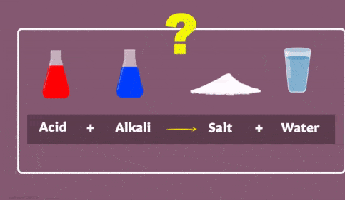 Neutralisation Reaction