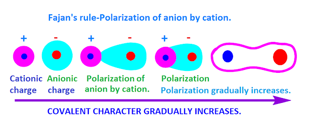 Polarisation and Fajan`s Rule | Additional Study Material for NEET