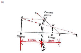 Lakhmir Singh & Manjit Kaur: Reflection of Light, Solutions- 4