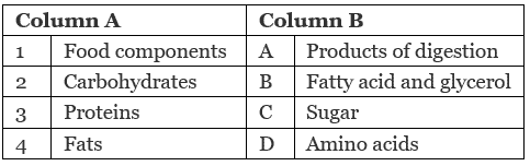 NCERT Solutions for Class 7 Science - Nutrition in Animals