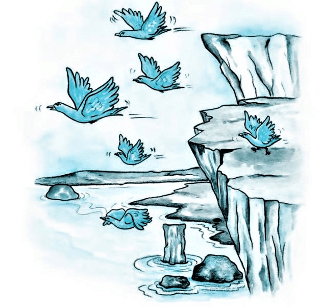 NCERT Solutions for Class 10 English Chapter 3 - Two Stories about Flying