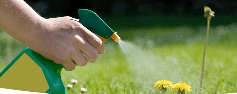 Chemicals in Agriculture