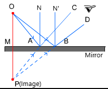 Image Formation: Concave & Convex Mirror | Science Class 10