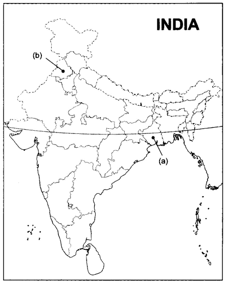 Social Science Past Year Paper - Delhi Set 1 (2019) | Past Year Papers for Class 10