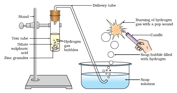 Physical and Chemical Properties of Acids - Class 10