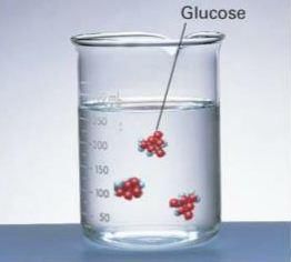 Solutions: Mixtures & Types of Solutions | Chemistry Class 12 - NEET