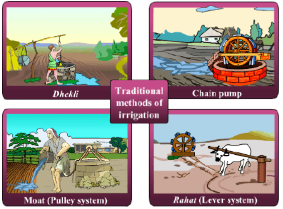 Class 8 Science Chapter 1 Question Answers - Crop Production And Management