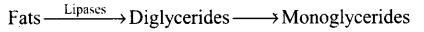 NCERT Exemplar: Digestion and Absorption (Old NCERT) | Biology for Grade 11