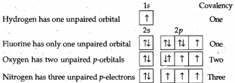Types of Chemical Bonds | Physical Chemistry for NEET