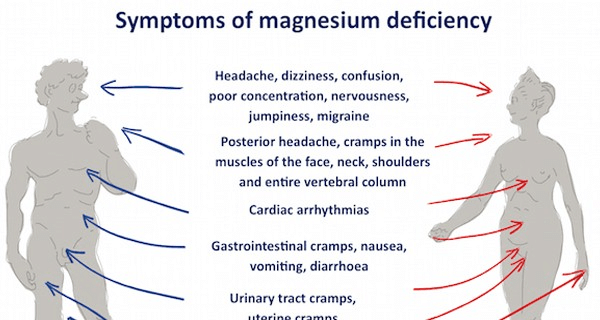 Biological Importance of Na, K, Mg & Ca | Chemistry for JEE Main & Advanced