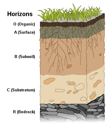 Soil Profile