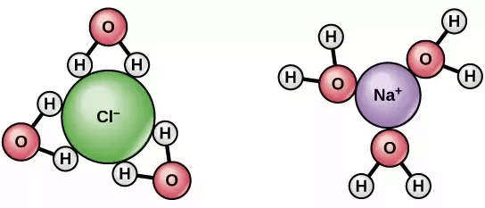 NaCl dissociate into two ions when dissolved in water